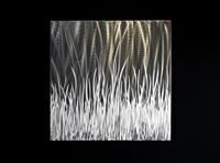 Force Field 2